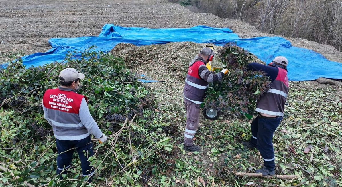 Ordu'da Park ve Bahçe Atıkları Gübre Oluyor